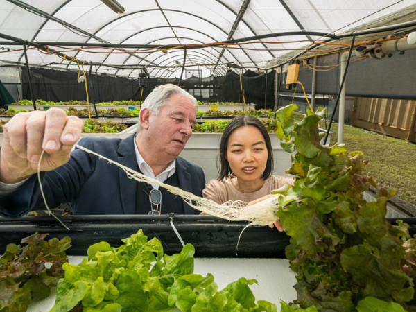 CSIRO Agriculture and Food Business Researcher Dr Ha Truong and Food Recycle CEO Norm Boyle.