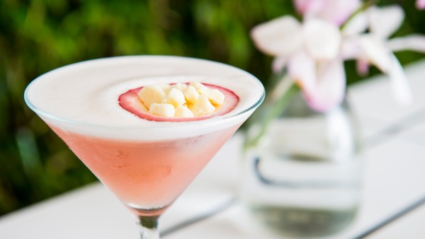 Pink cocktail in martini glass with dehydrated fruit