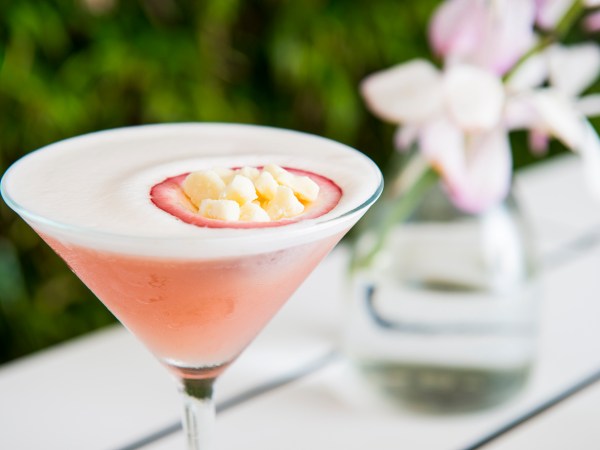 Pink cocktail in martini glass with dehydrated fruit